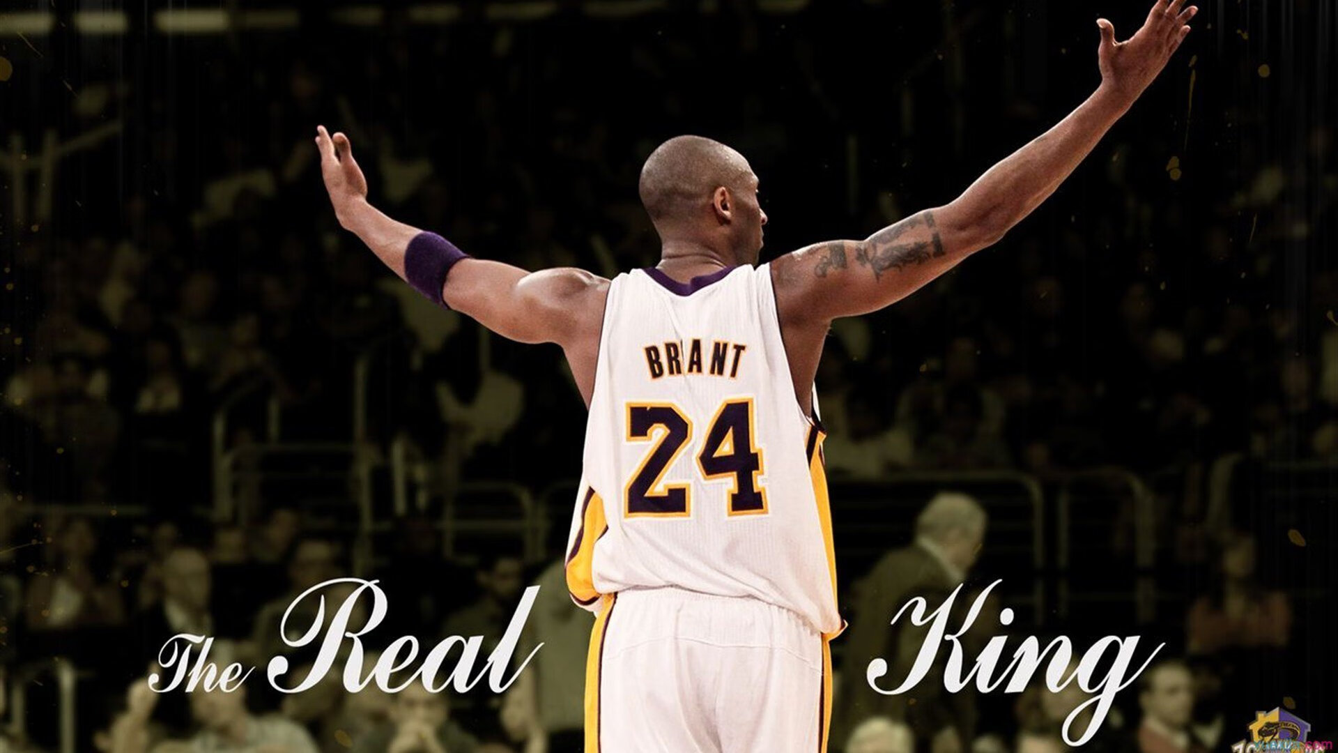 意甲新星崭露头角，多次精彩瞬间令人震撼，意甲新秀